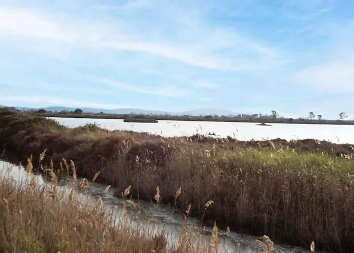 Villa Les Pesquiers By Interhome